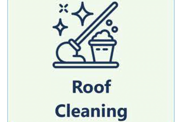 ROOF CLEANING